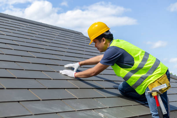 Best Roof Gutter Cleaning  in Dexter, GA