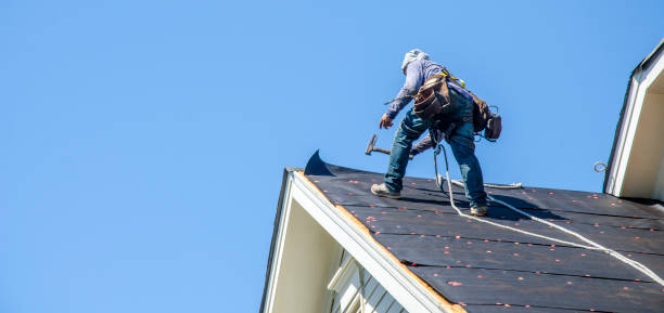 Best Shingle Roofing Installation  in Dexter, GA